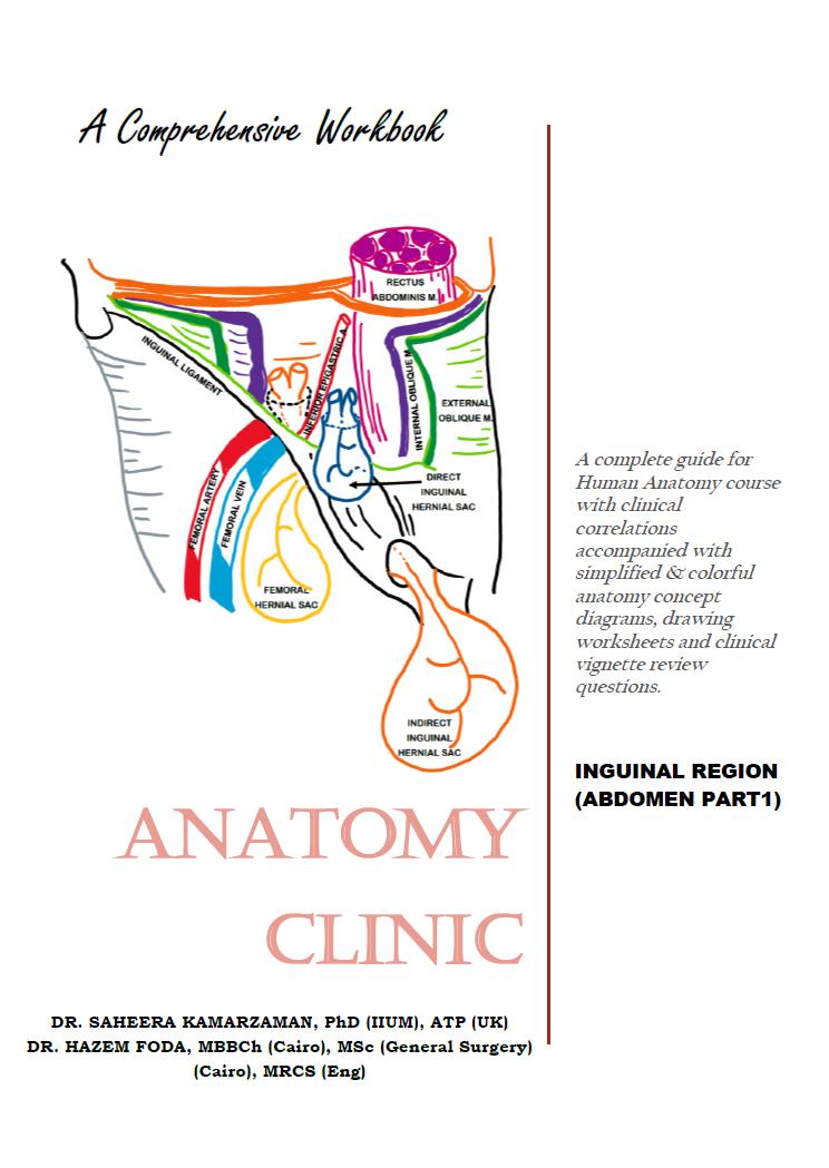 essential anatomy 5 discount