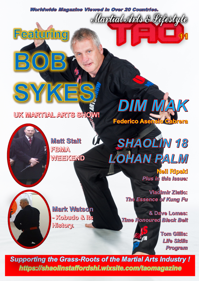 TAO Martial Arts & Lifestyle Magazine Issue 11 (PDF Version) Payhip