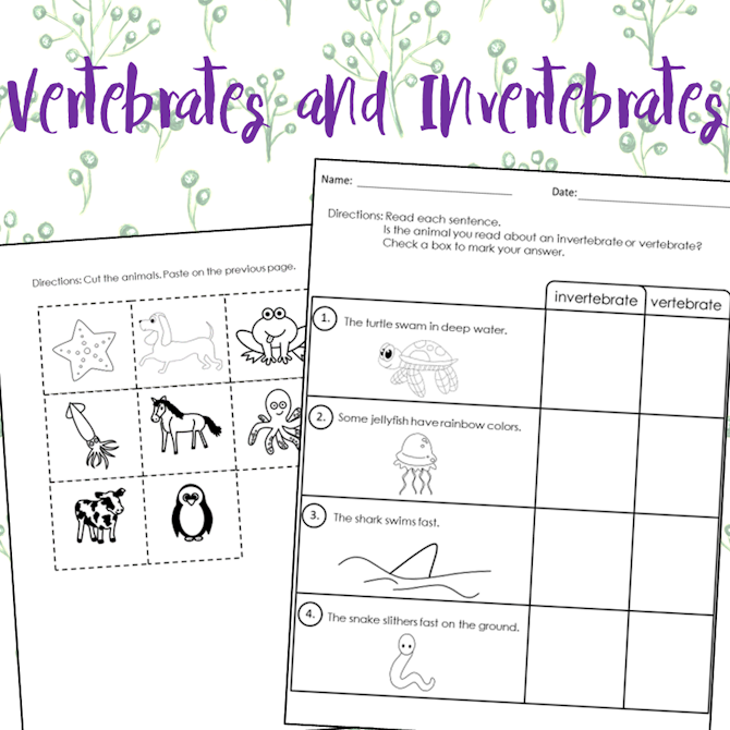 Vertebrates and Invertebrates Worksheets - Payhip
