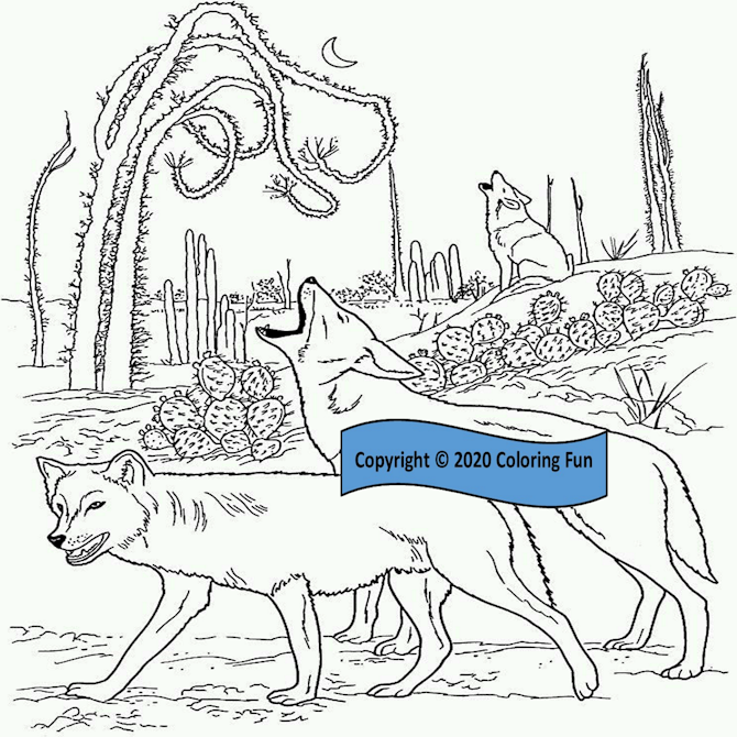 Printable Coloring Page, Animal 10 Coyotes - Payhip