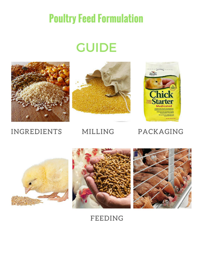 Poultry Feed Formulation Guide Payhip